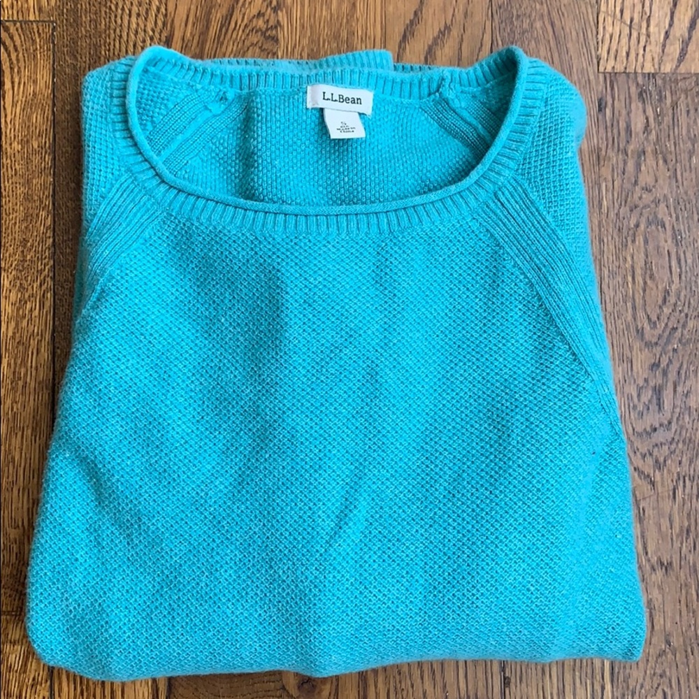 L.L. Bean Teal sweater